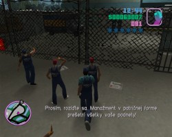 Grand Theft Auto: Vice City